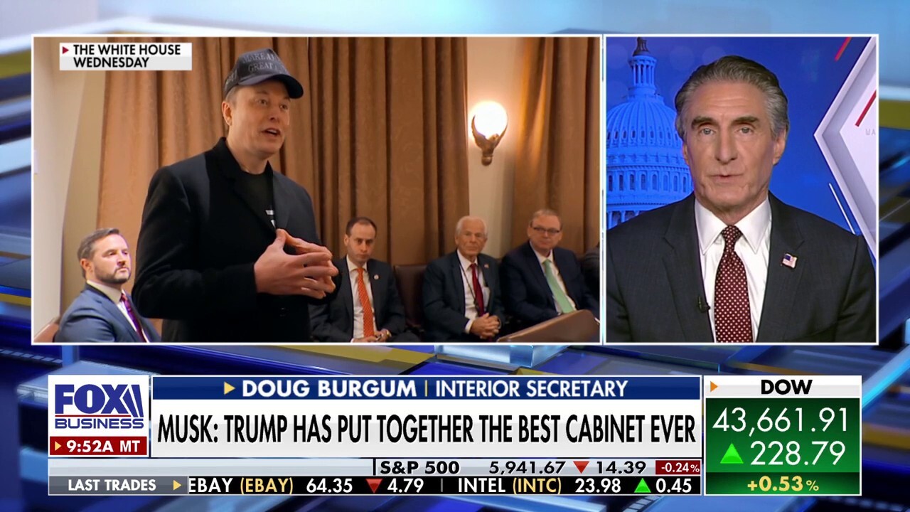 Secretary of the Interior Doug Burgum weighs in on Elon Musk's role in the Trump administration and argues for the importance of American energy.