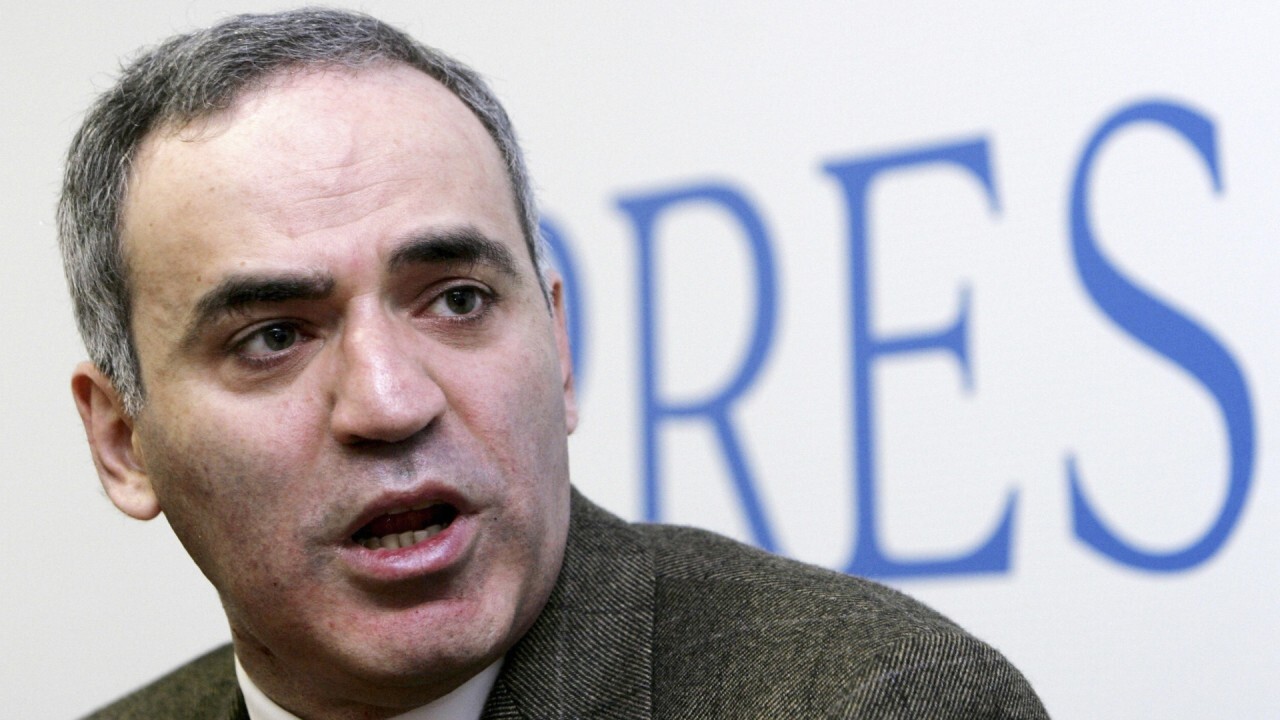 No 'clear proof' if Ukraine victory is part of Biden's agenda: Kasparov