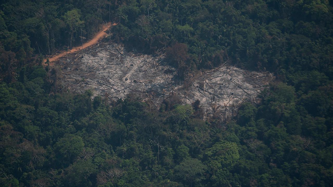 Brazil will accept foreign aid to fight Amazon fires