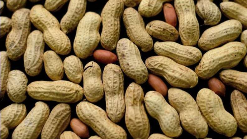 Peanut allergy treatment shows promise