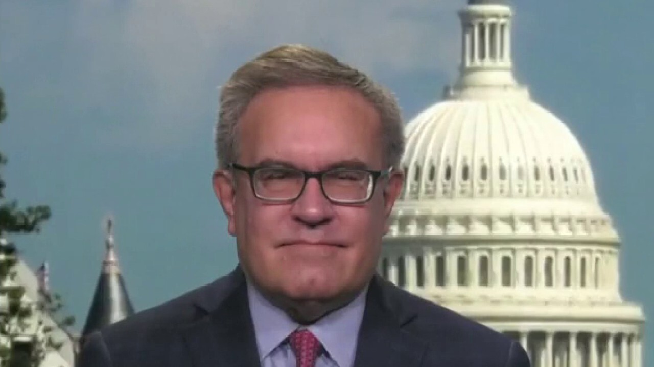 Andrew Wheeler, who headed the Environmental Protection Agency during the Trump administration, argues the Biden administration has 'done everything that they can' to decrease American production, which has caused prices to soar. 