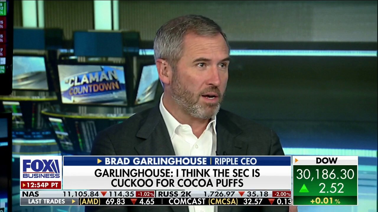 Ripple CEO Brad Garlinghouse and FOX Business' Charlie Gasparino join 'The Claman Countdown' to discuss cryptocurrency and SEC behavior.