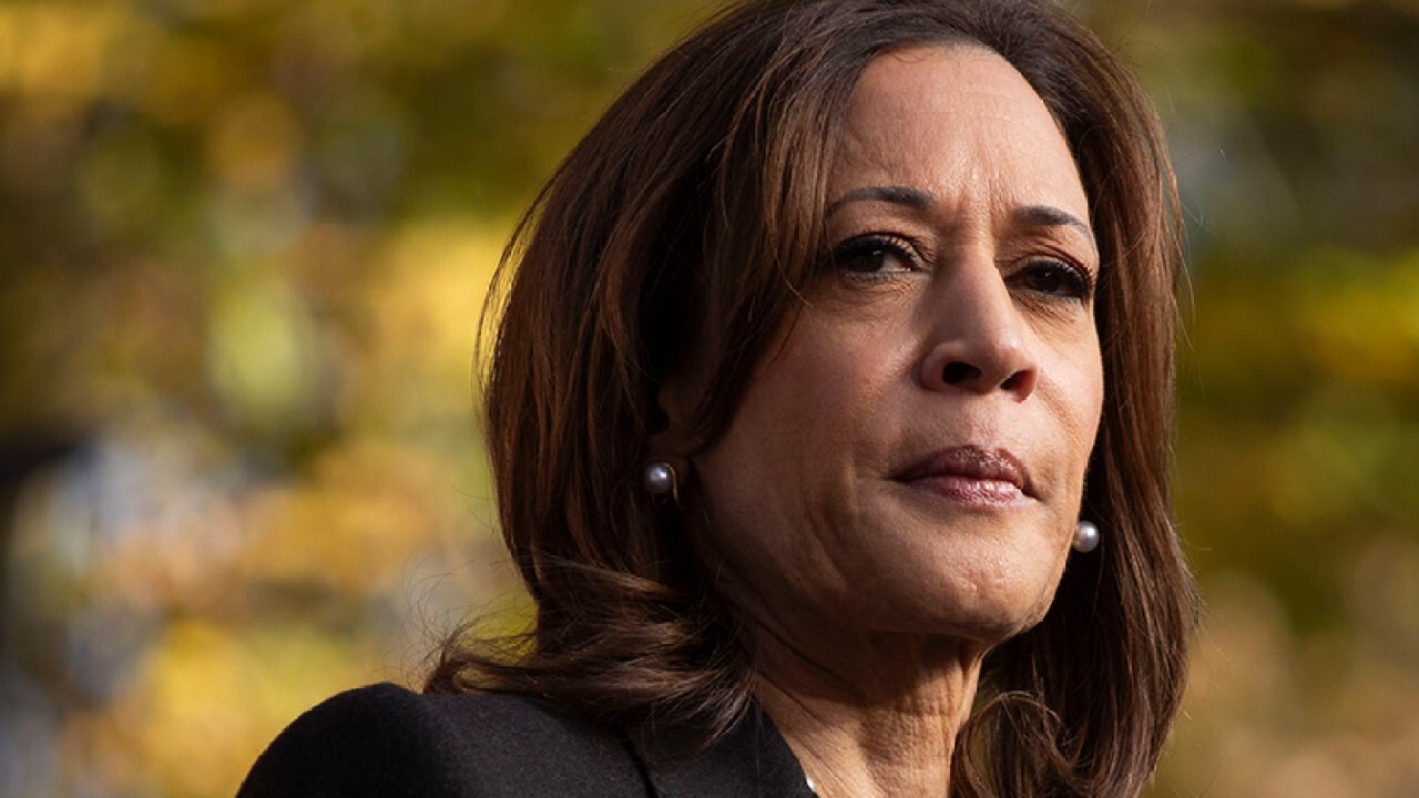 'No way' Kamala Harris is a freedom candidate when she wants to raise $5M in taxes, argues Steve Moore