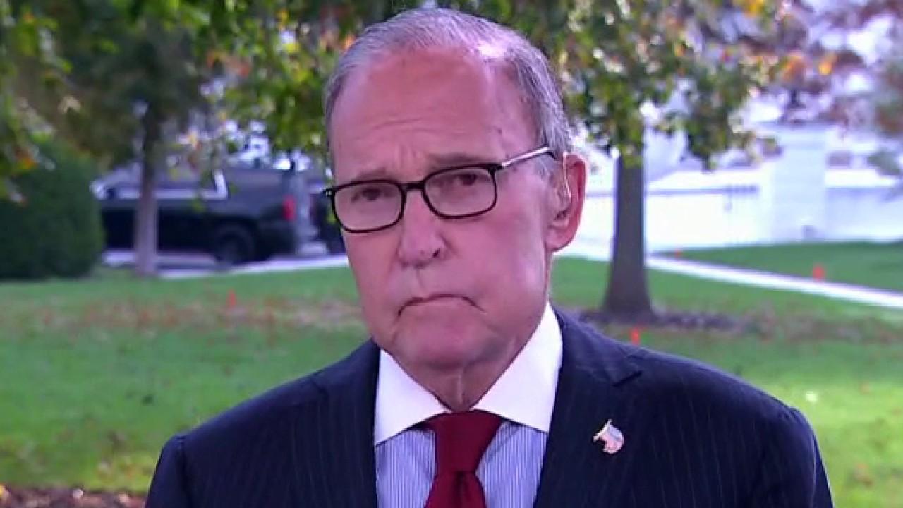 Kudlow on Trump's economic policy: You can't socialize healthcare, mandate wages