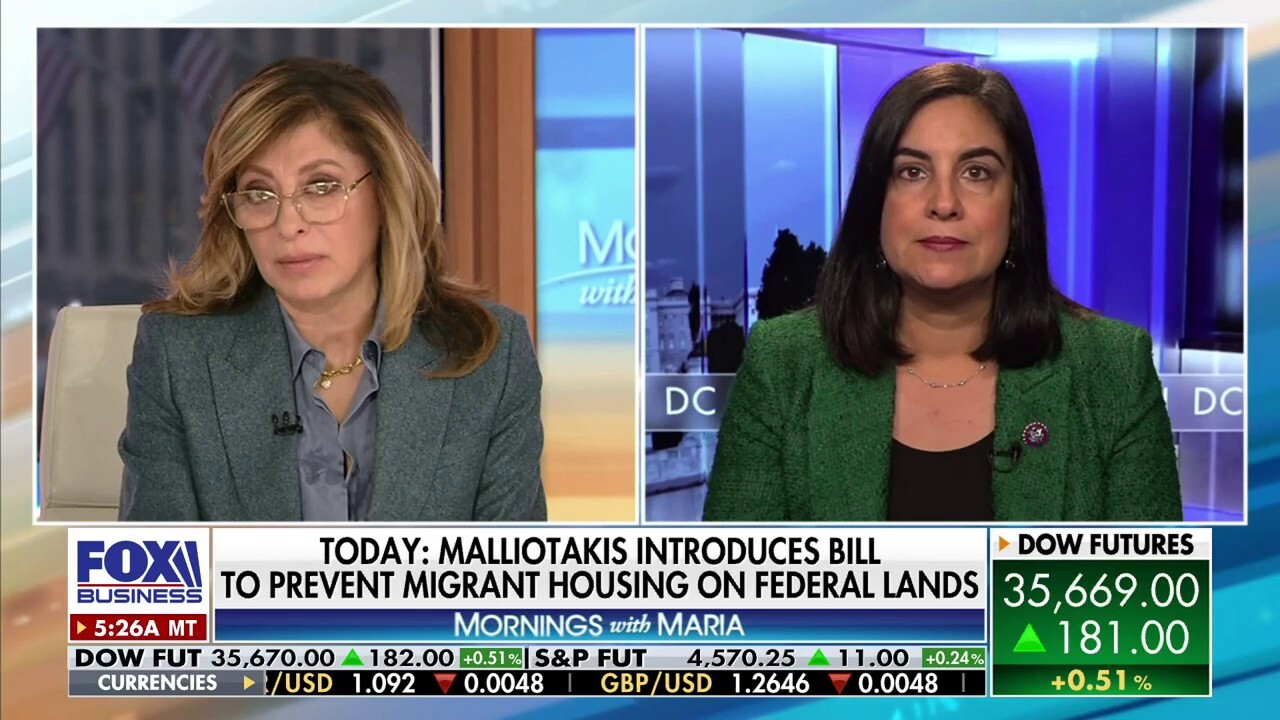 Biden administration allowing millions of people to come into US: Rep. Nicole Malliotakis