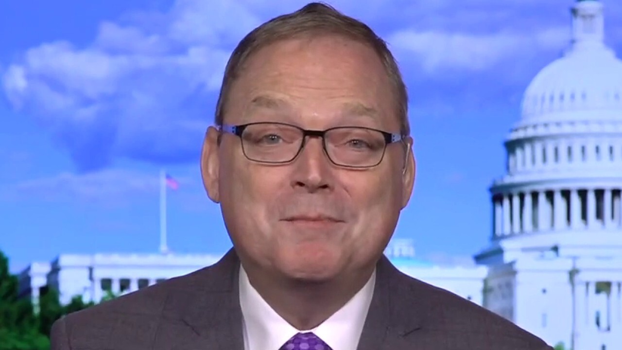 The left doesn't want ordinary folks to own equities: Kevin Hassett