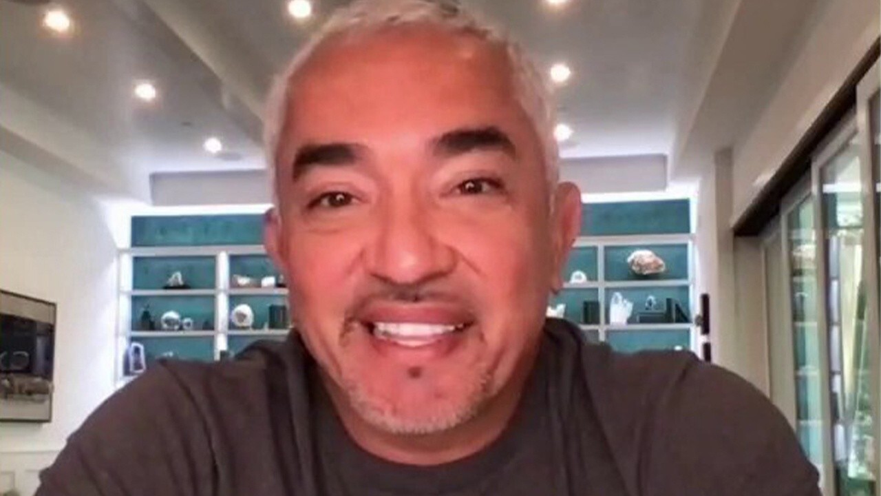 Cesar Millan on dogs, coronavirus lockdowns