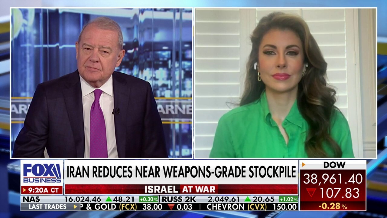 There is ‘chaos and war in almost every theater’ under Biden’s ‘feckless’ leadership: Morgan Ortagus