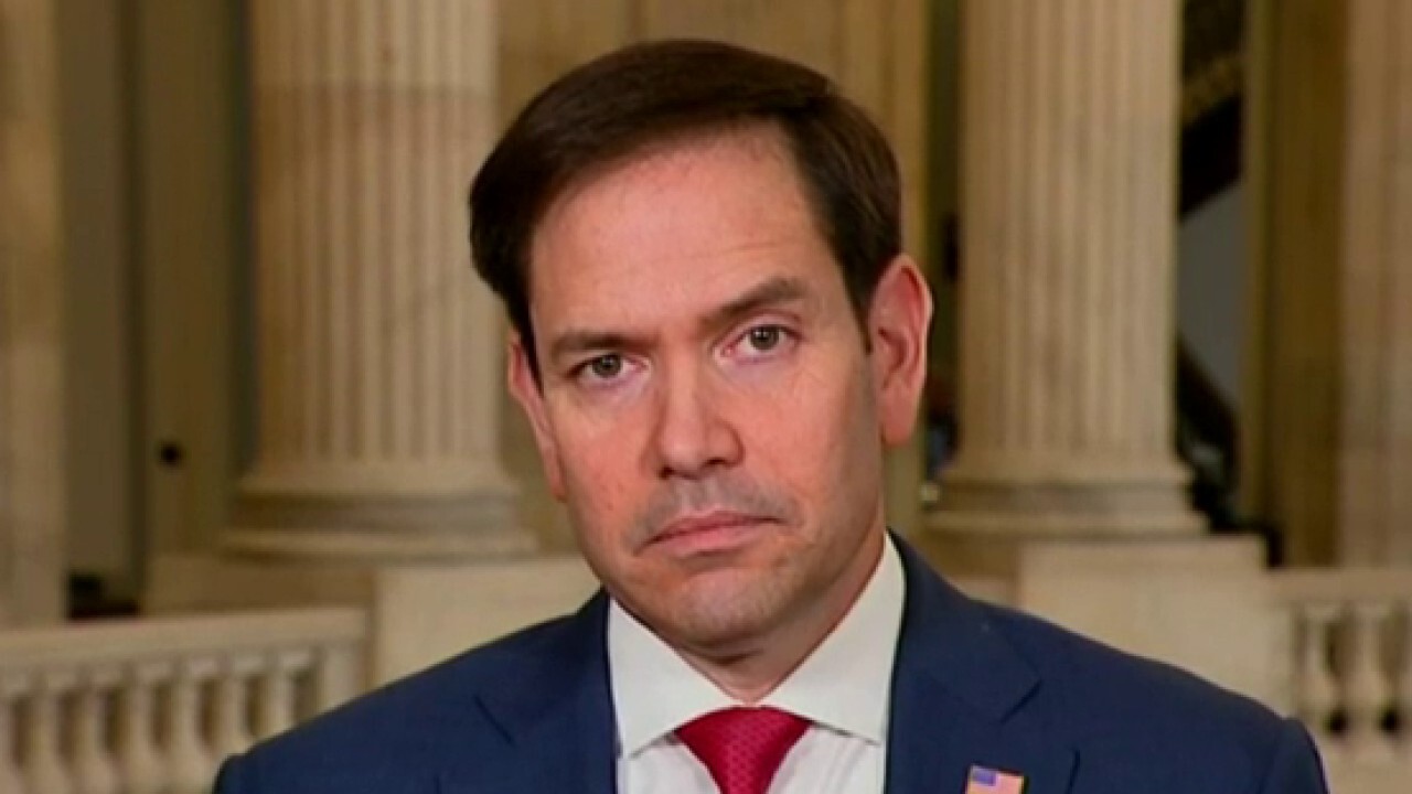 Sen. Marco Rubio, R-Fla., reacts to the special counsel's take on Biden's cognitive health on 'Kudlow.'
