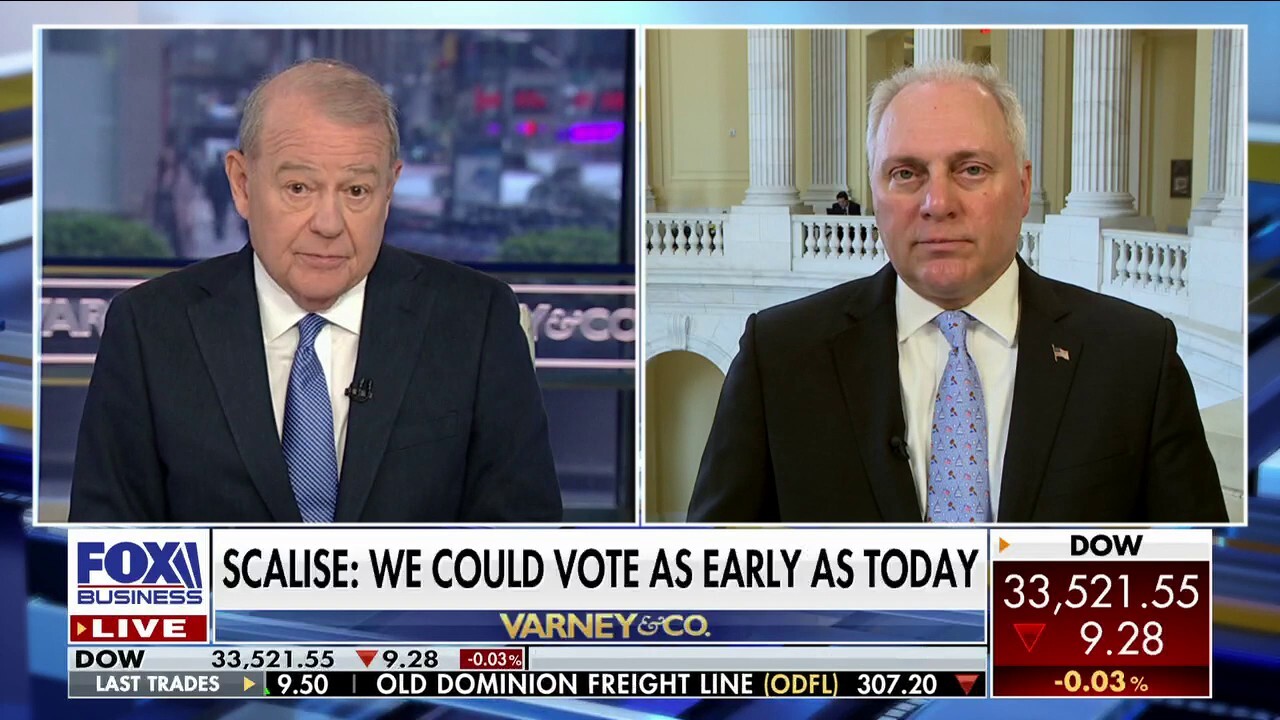 White House needs to ‘finally’ start saving money while we address the debt ceiling: Rep. Steve Scalise