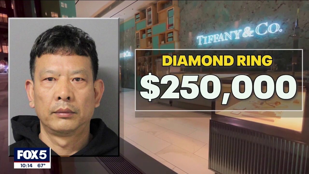 An international jewelry thief is accused of swiping two diamond rings worth close to $300,000 from Tiffany and Cartier stores in Manhattan. (Credit: WNYW)