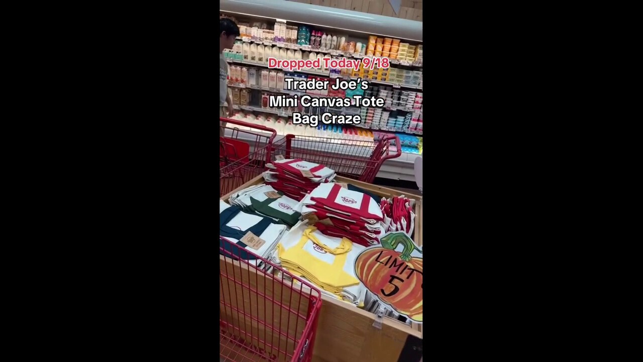 A Trader Joe's shopper in North Potomac, Maryland, found the viral mini totes back in stock and bought some to send her family in Japan. (@theninadaniels/TMX)