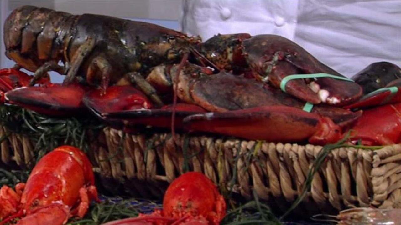 Tips for pulling off a successful Labor Day lobster bake
