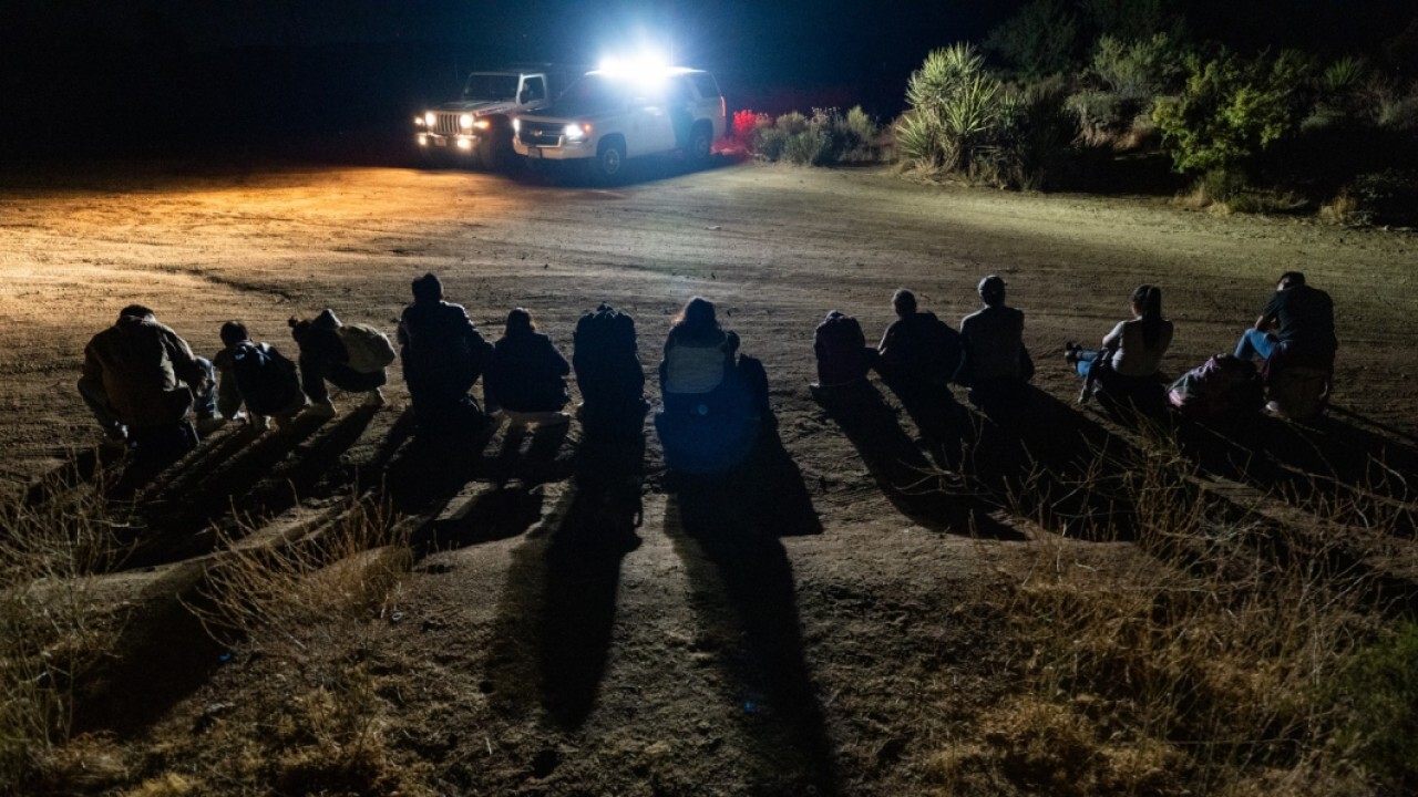 Mass deportations going to take 'all out effort,' National Border Patrol Council VP says