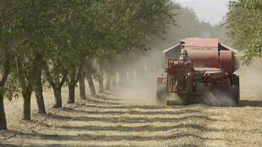 Trump's tariffs benefiting almond growers in Australia