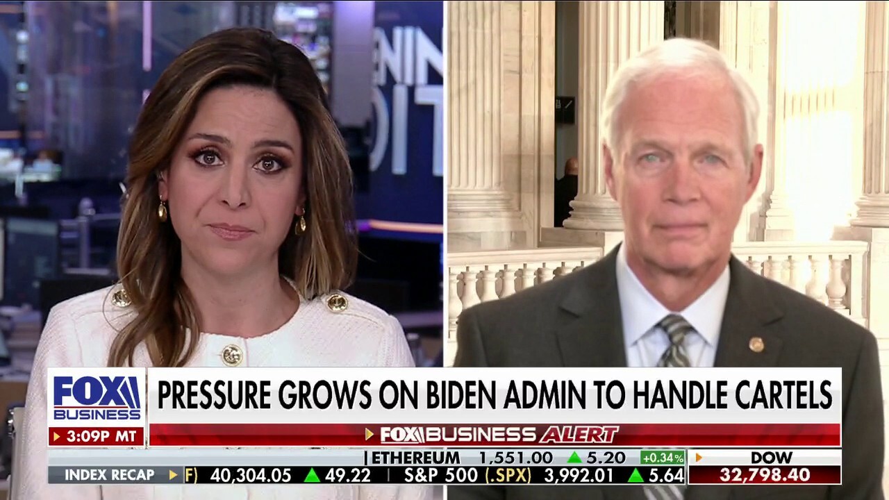 Ron Johnson: The radical left's 'insane' policies are destroying this country