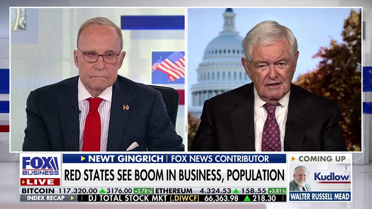 DISHONEST DEMS: Newt Gingrich calls out 'hysterical' Democratic leaders