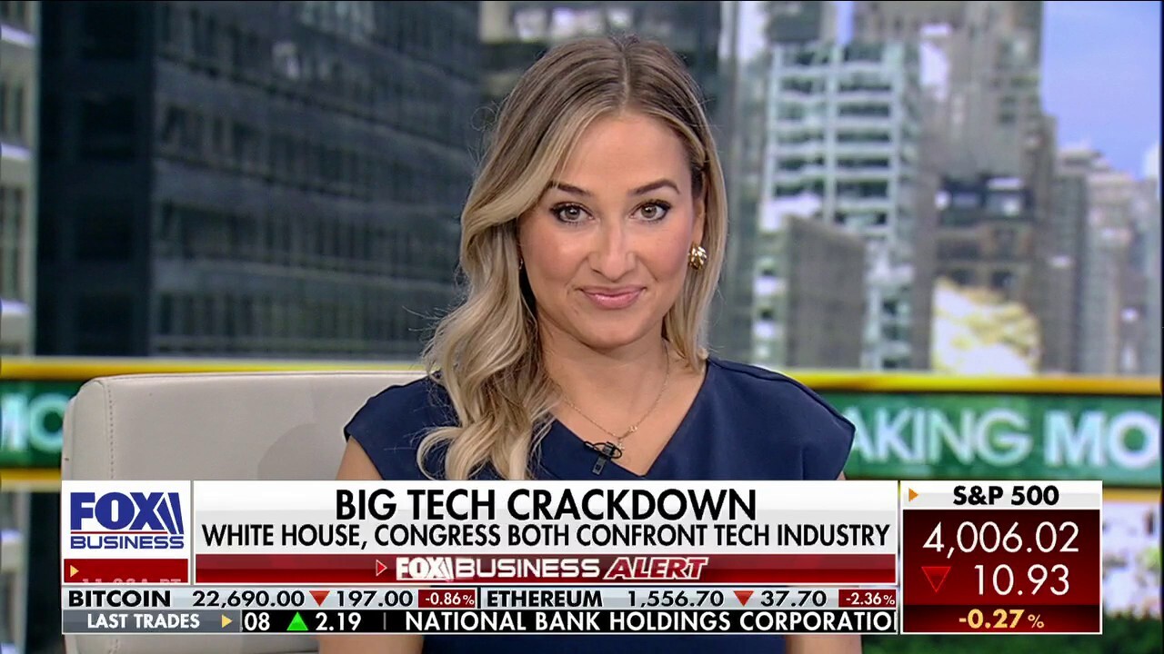  Policy expert reveals why Big Tech is an 'enemy of the people'