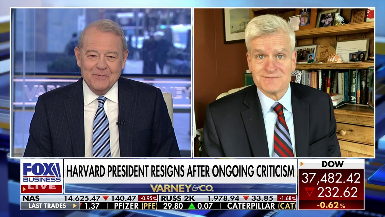 No American trusts Bob Menendez to make decisions in their best interest: Sen. Bill Cassidy