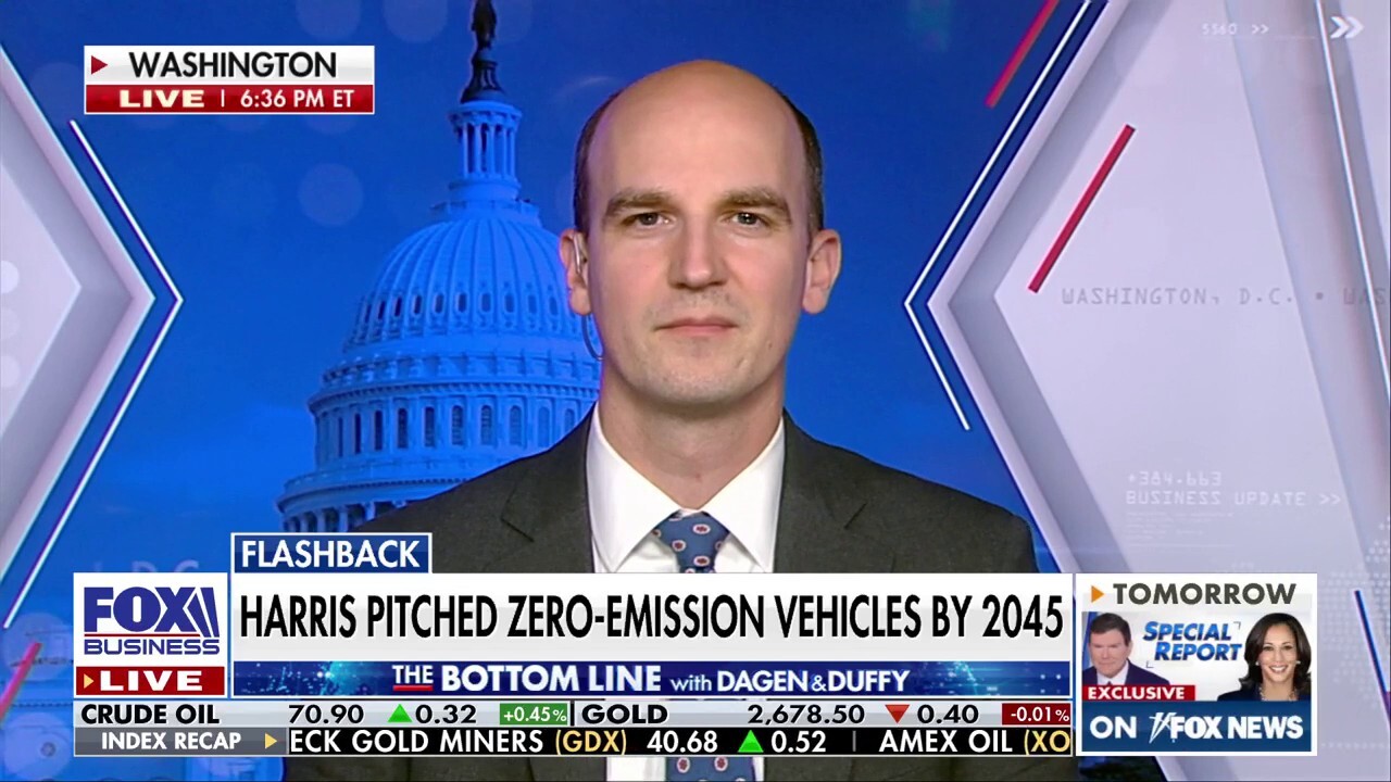 Electric vehicles are 'huge losers' for automakers: Michael Buschbacher