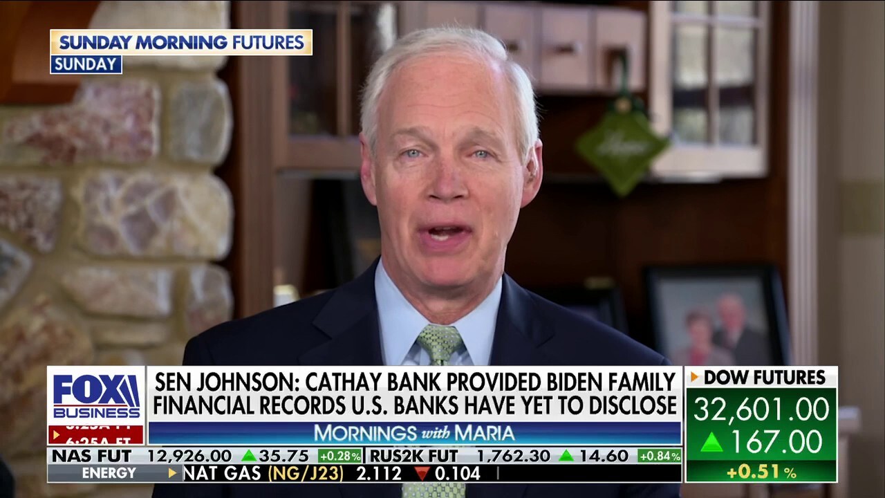 Sen. Ron Johnson: Cathay Bank 'willingly' provided Biden bank records