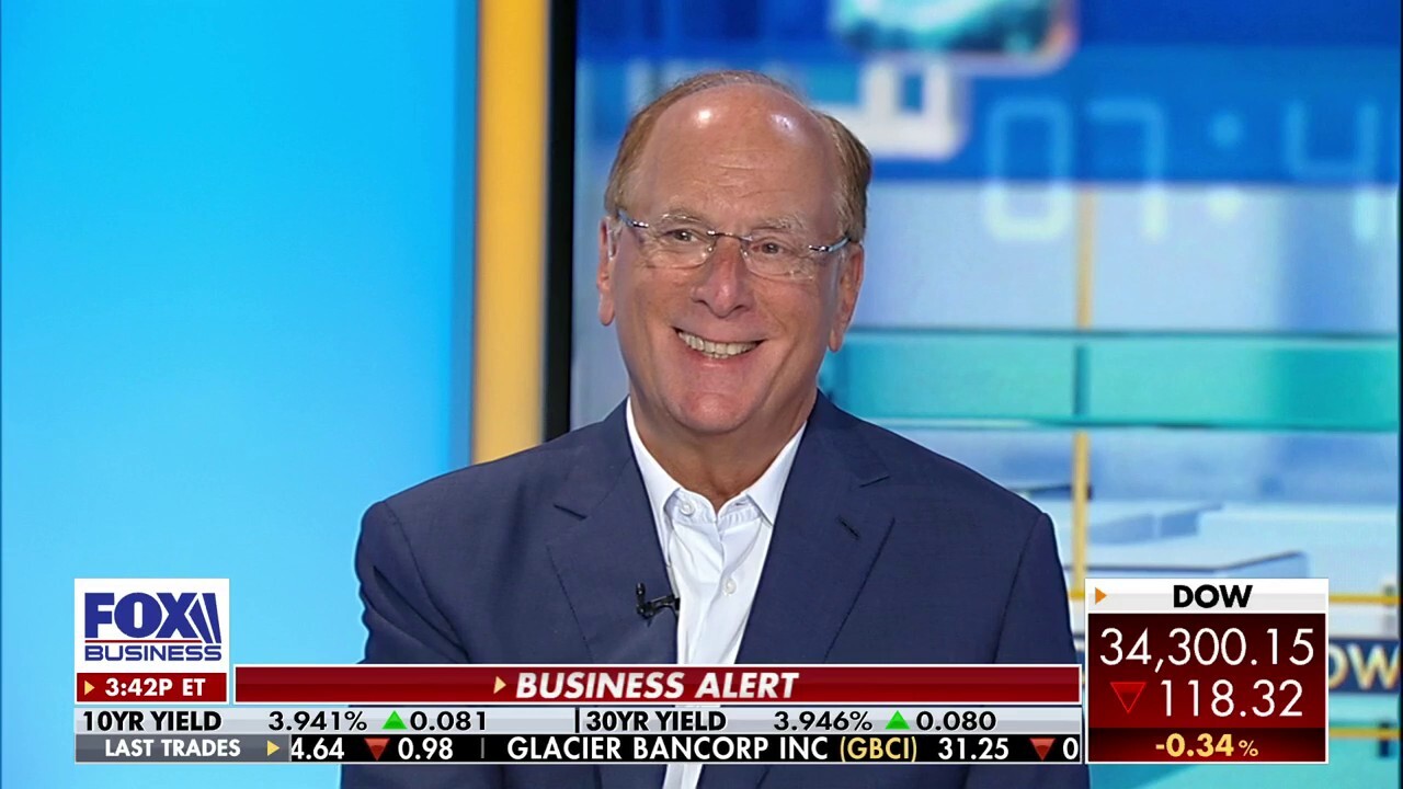 Blackrock CEO Larry Fink says bitcoin is a hedge against the devaluation of your currency