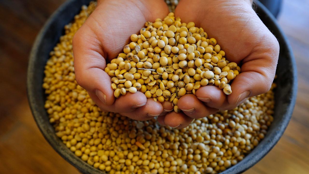 Impact of tariffs on America's soybean farmers