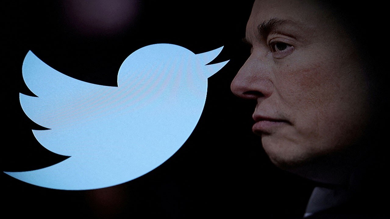 Elon Musk's 'chaotic' Twitter takeover muddles his mission: Eric Hippeau 
