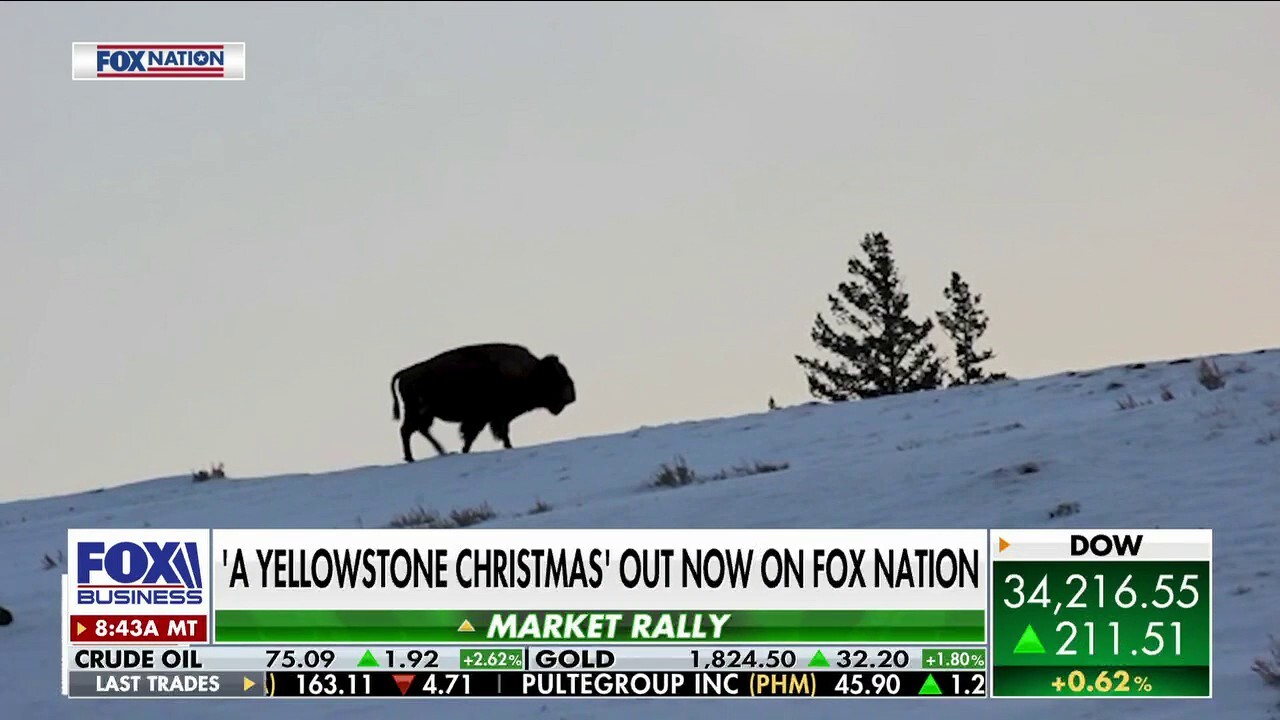 Fox Nation's 'A Yellowstone Christmas' out now