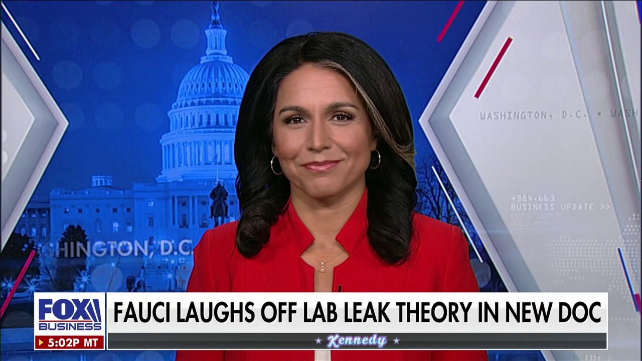 Tulsi Gabbard: Anthony Fauci is not a legitimate scientist 