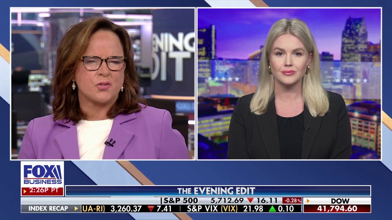 Karoline Leavitt says Dems are the 'party of elitists' who 'look down' on working Americans