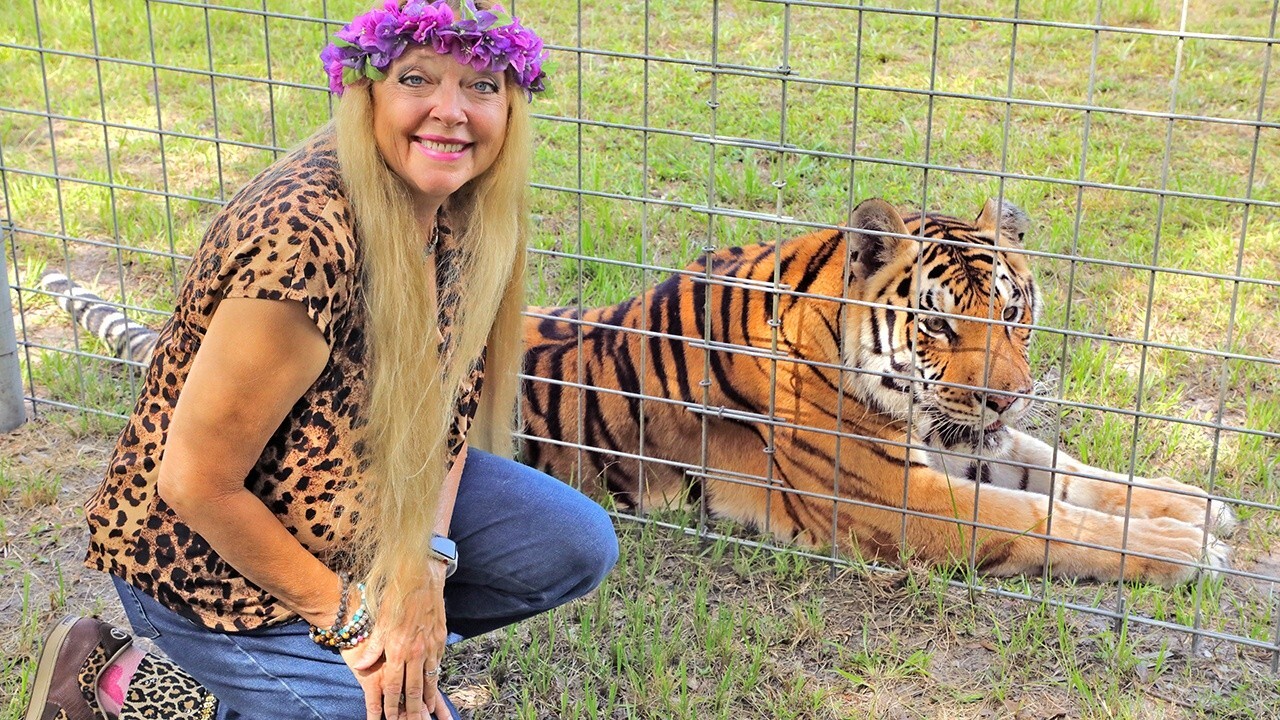 ‘Tiger King’ star Carole Baskin launches big cat-themed crypto coin