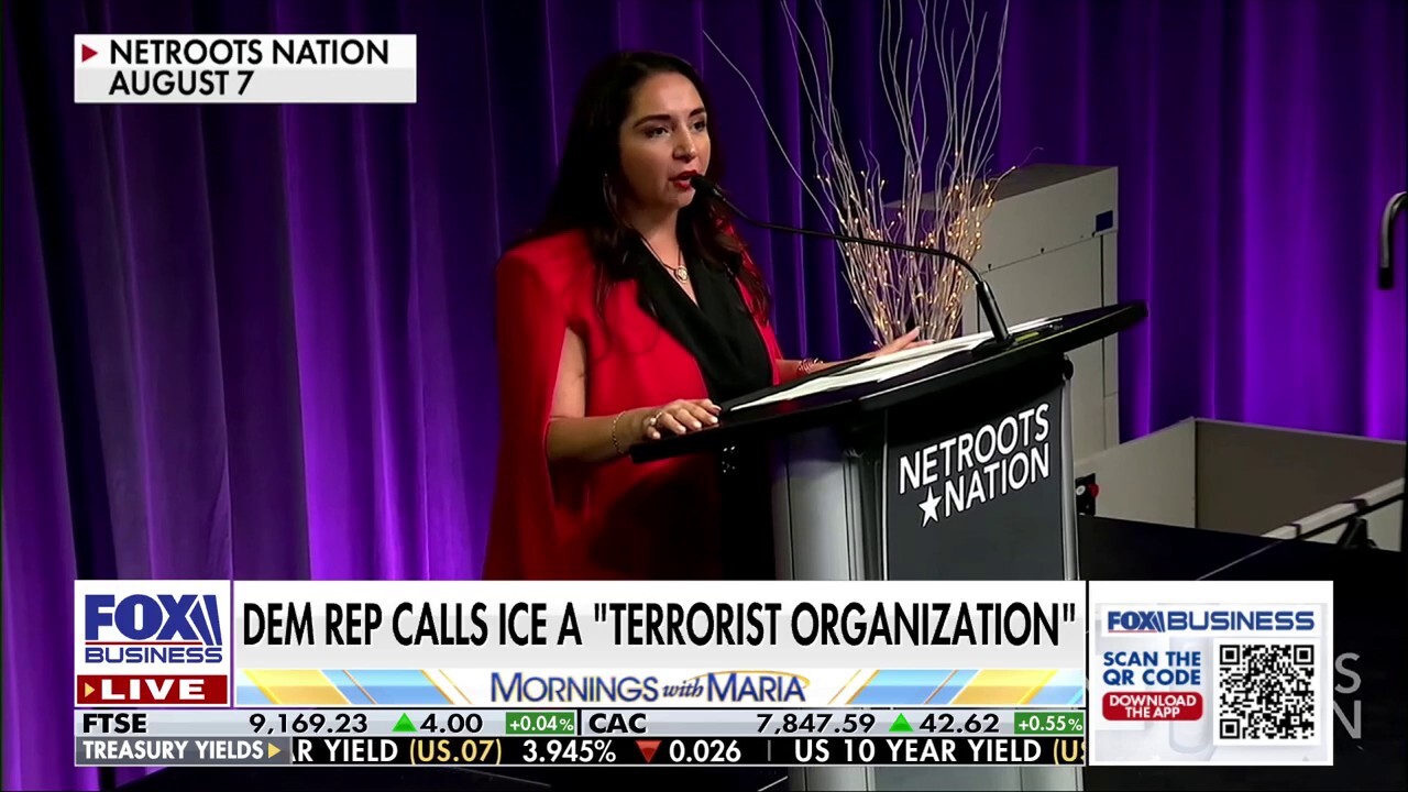 Dem rep under fire for comparing ICE agents to a ‘terrorist organization’