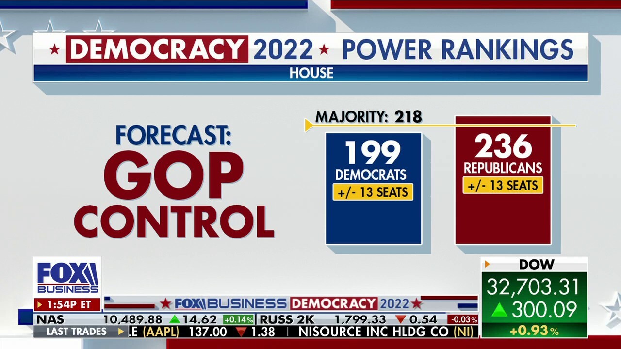 Election Day 2022 warning: Doug Schoen says everything is 'moving against Democrats'