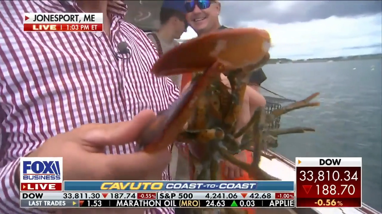 FOX Business’ Jeff Flock reports from Jonesport, Maine, where rising fuel and bait costs aren’t reeling in the big bucks.