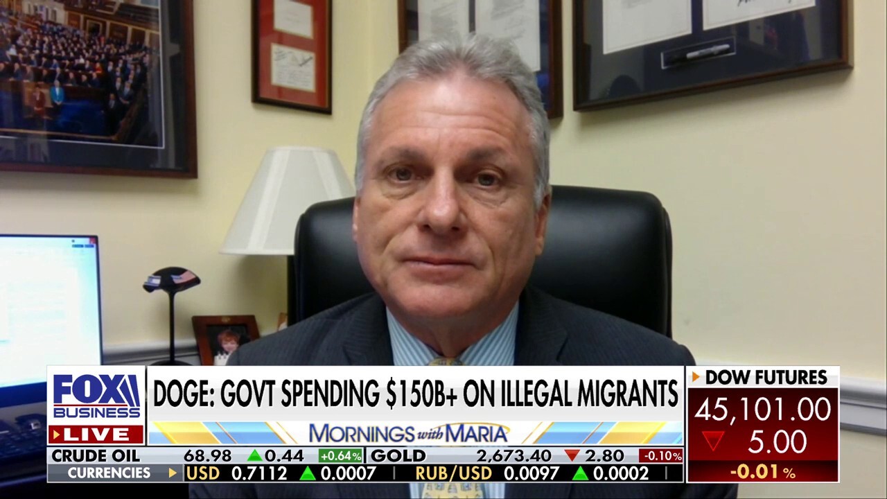 Georgia Republican warns 'there will be a price to pay' if sanctuary cities don't follow the law