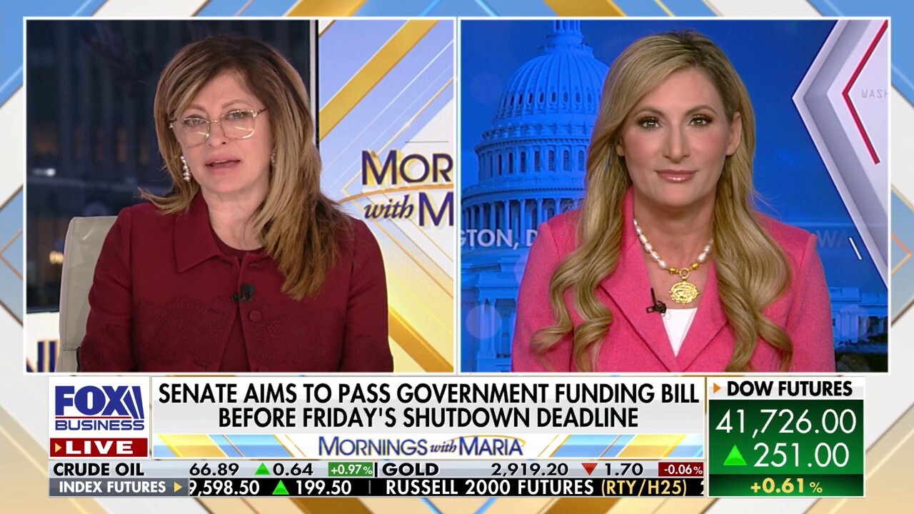 Democrats are voting to shut the government down, says Florida congresswoman