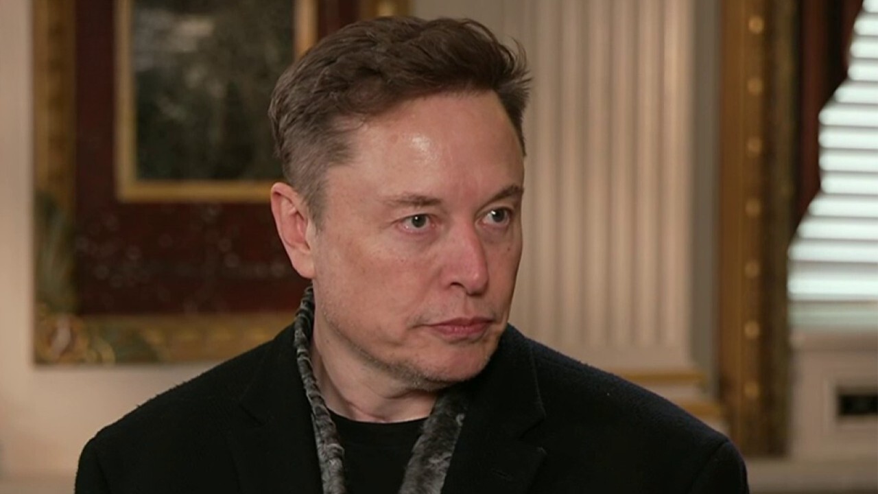 Billionaire Elon Musk explains how DOGE is helping the government 'get a handle on things' on 'Kudlow.'