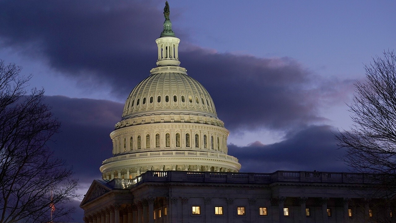 Democrats ignoring long-term implications of large stimulus bill: Sen. Mike Braun