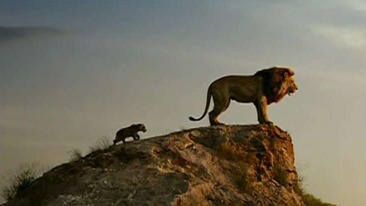 Will the heat wave give a boost to 'The Lion King?'