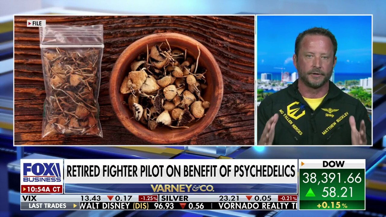 Navy fighter pilot Matthew 'Whiz' Buckley advocates for psychedelics to heal veterans