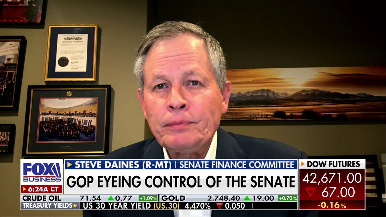 Schumer has to ‘create a narrative’ of how he can keep the Senate majority: Sen. Steve Daines