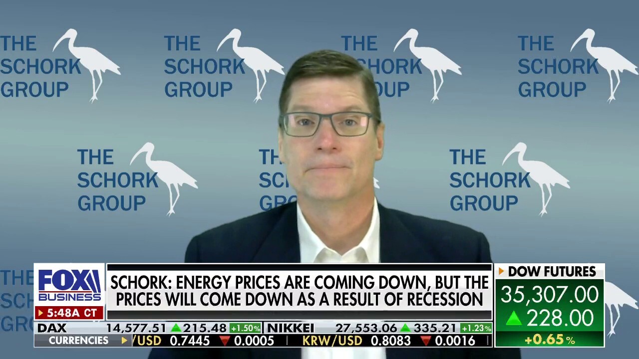 The Schork Group Principal Stephen Schork argues recession is 'unavoidable' as U.S. grapples with rising energy costs.