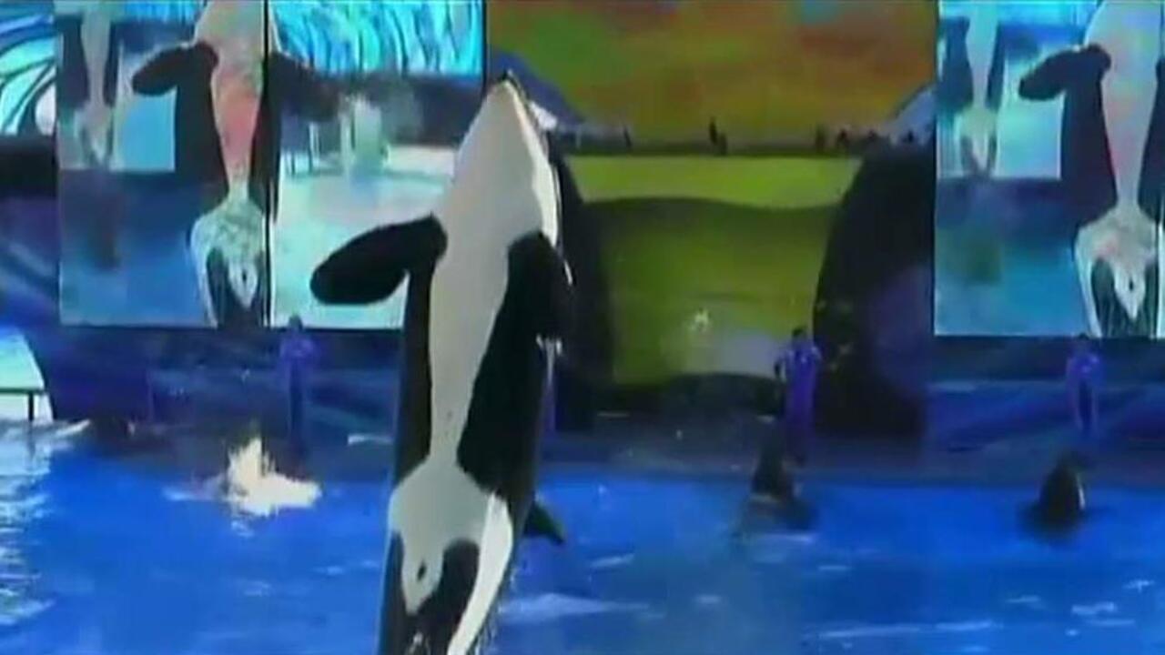 SeaWorld ends orca program