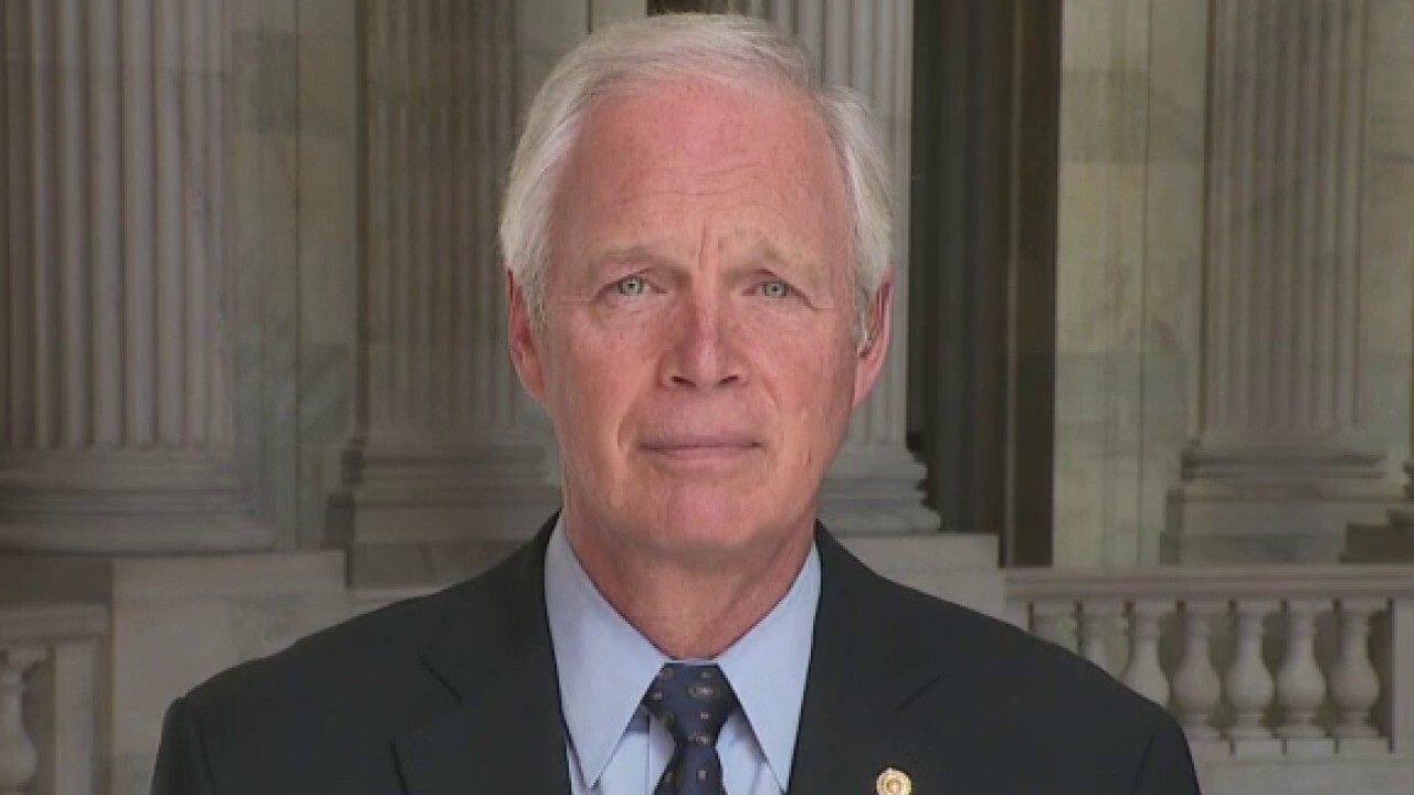 Ron Johnson: Electrical grid security is an 'existential threat'