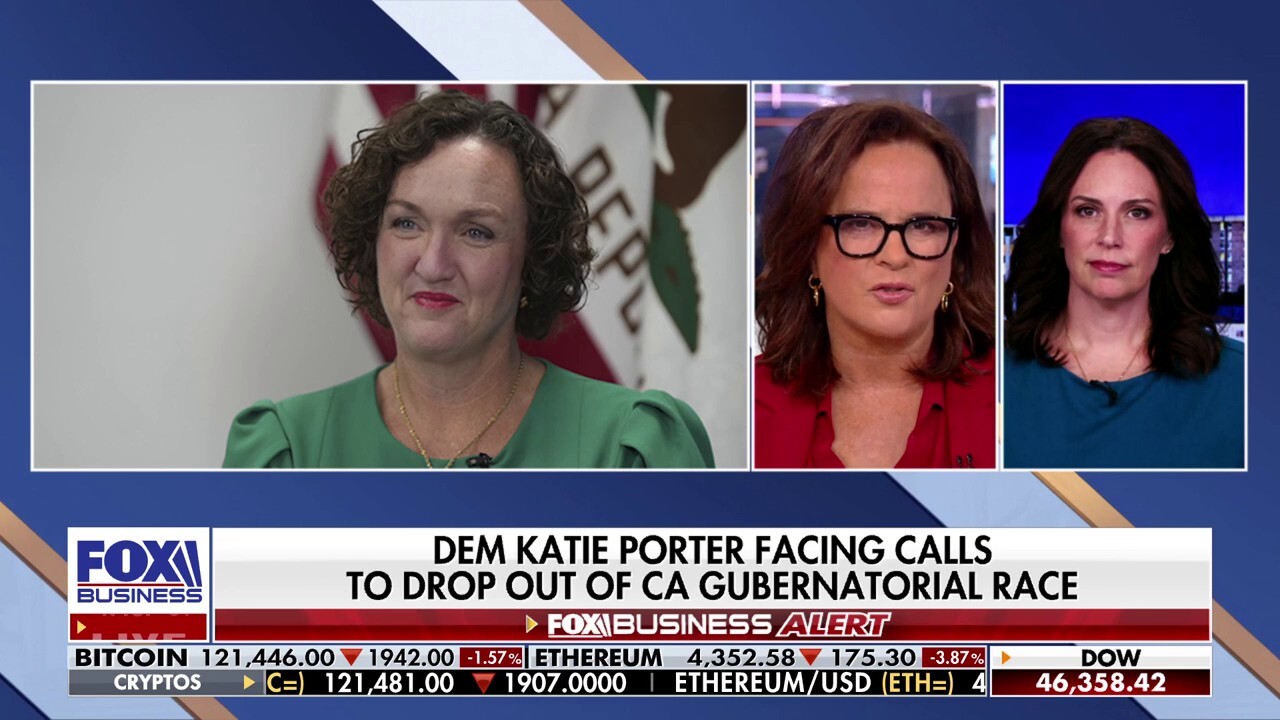Tudor Dixon: Dem’s explosive meltdown a ‘devastating for women in politics’