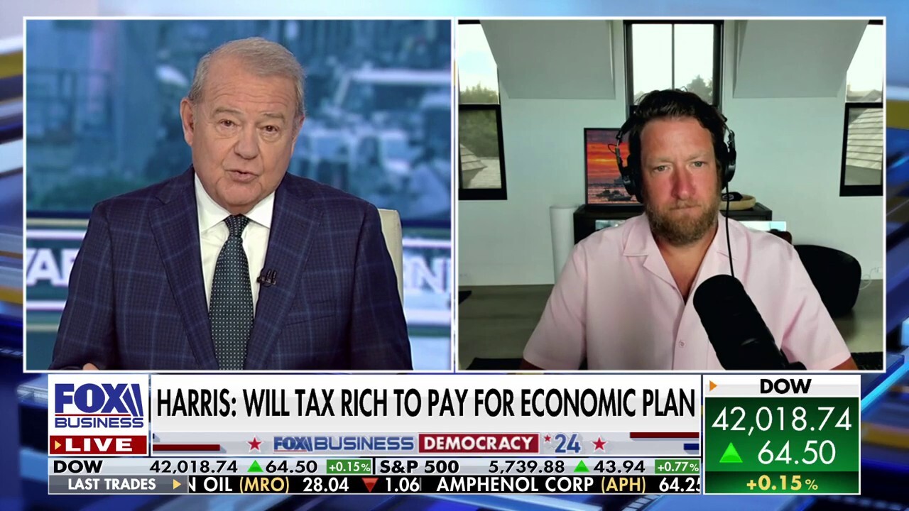 Dave Portnoy exposes weaknesses in VP Harris' 'tax the rich' push: 'No real sauce behind it'