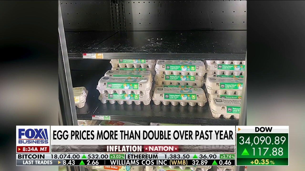 'Skyhigh' egg prices Historical look at egg costs since 1980 Fox