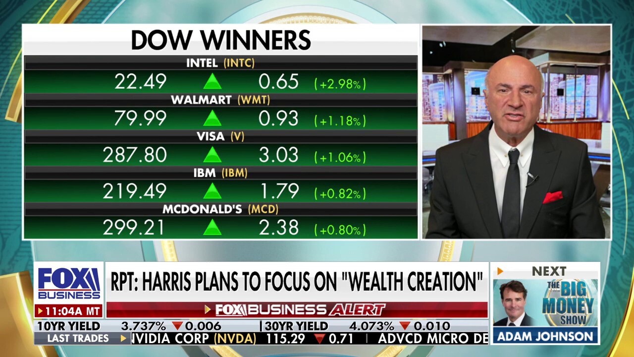 O'Leary Ventures Chairman Kevin O'Leary reacts to report that Vice President Kamala Harris plans to focus on 'wealth creation' and which policies Harris needs to better explain to prove herself as a solid candidate on the economy.