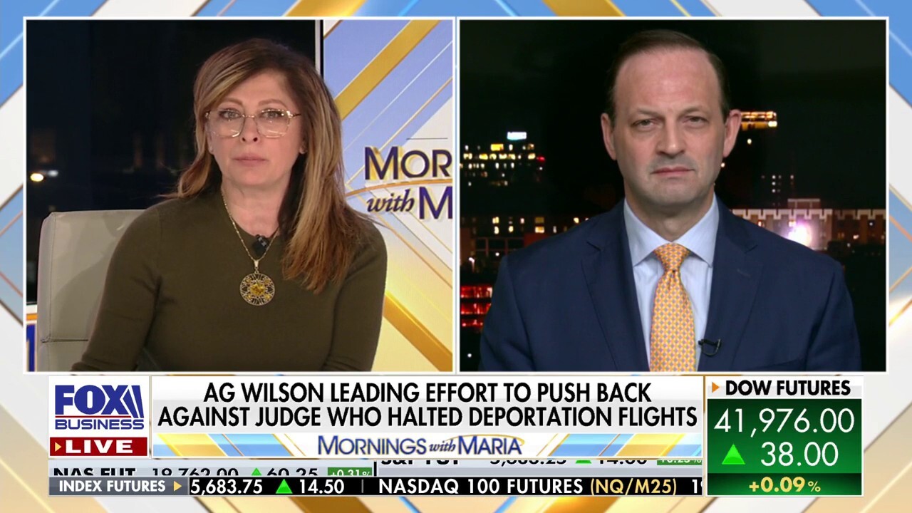 South Carolina AG on deportation flights: 'This is a national security issue more than it is a law enforcement operation'